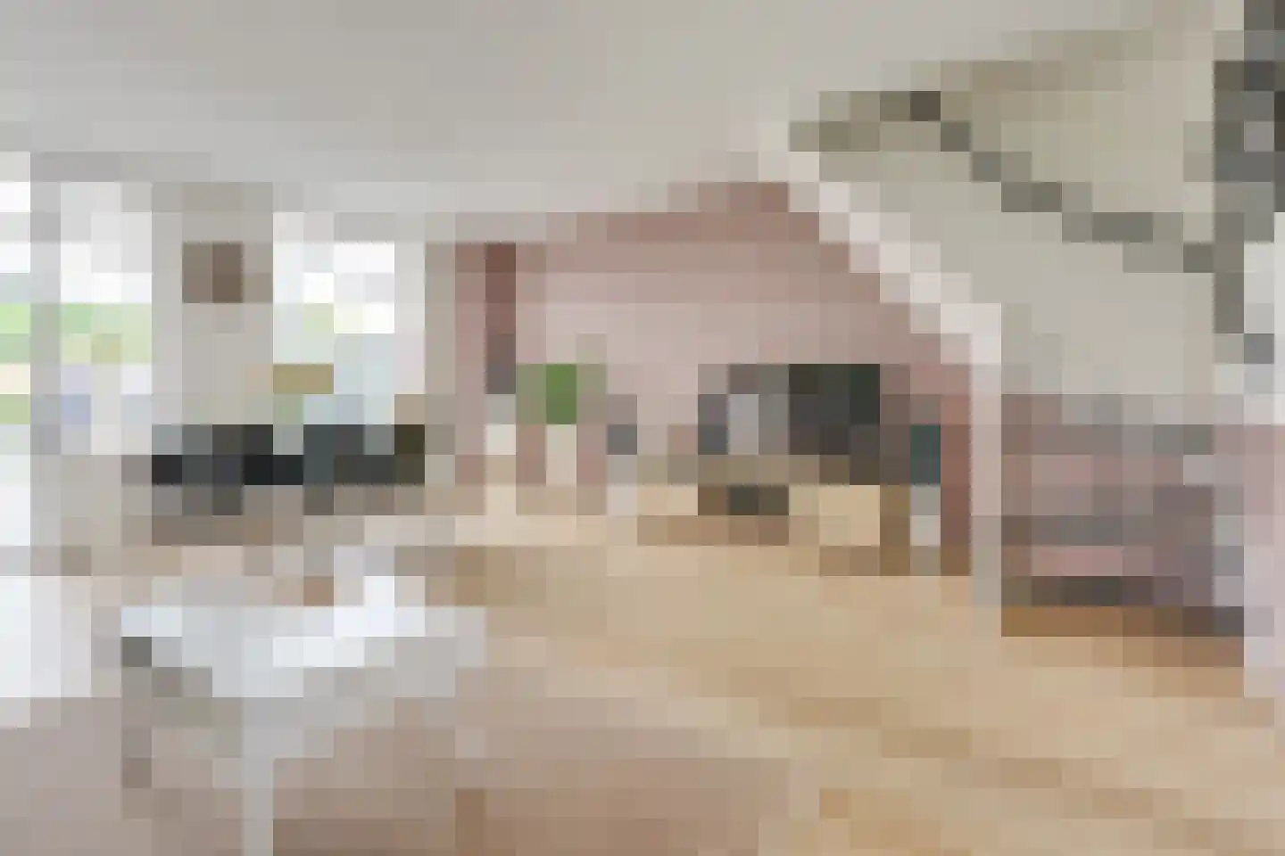 Moerbeigaarde 17 Nieuwegein thumbnail 14