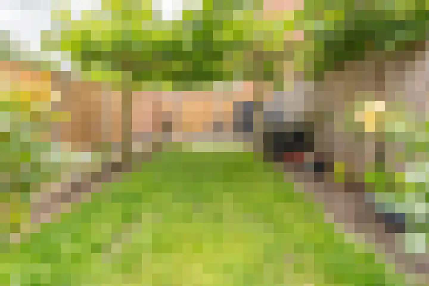 Moerbeigaarde 17 Nieuwegein thumbnail 26