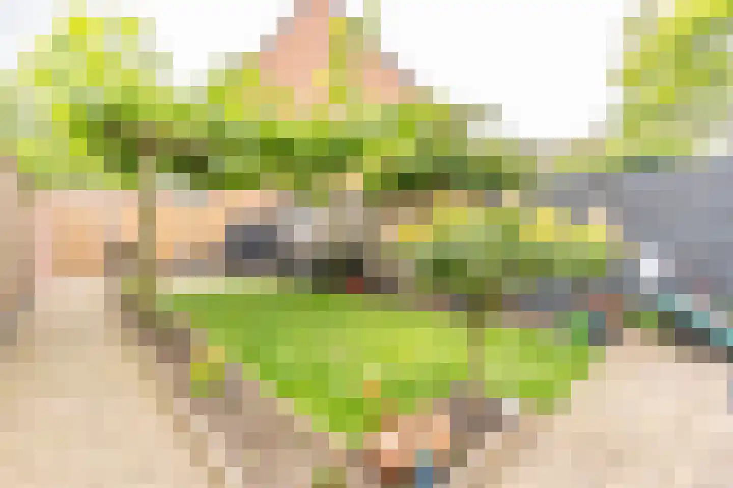 Moerbeigaarde 17 Nieuwegein thumbnail 27