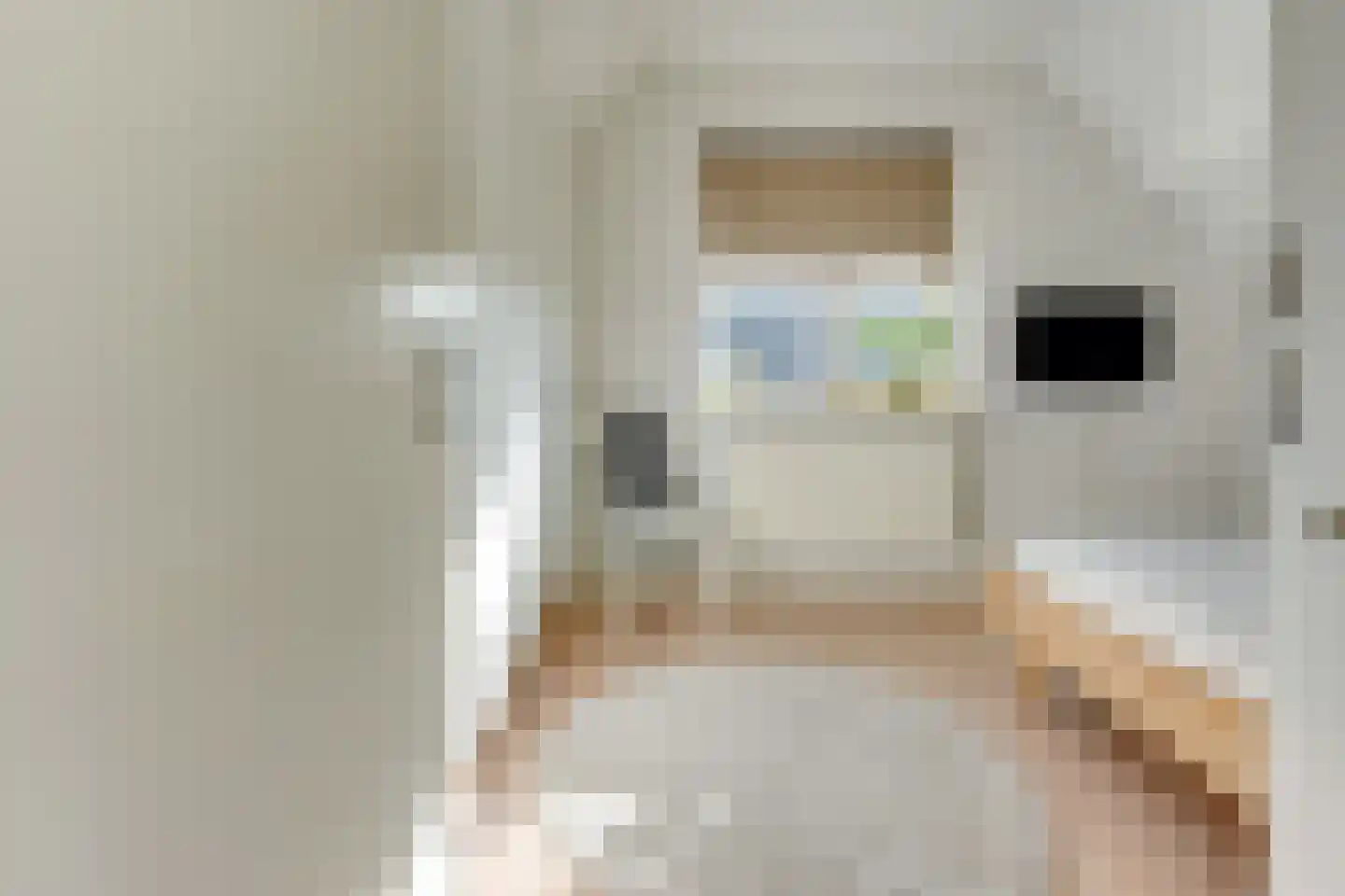 Moerbeigaarde 23 Nieuwegein thumbnail 37