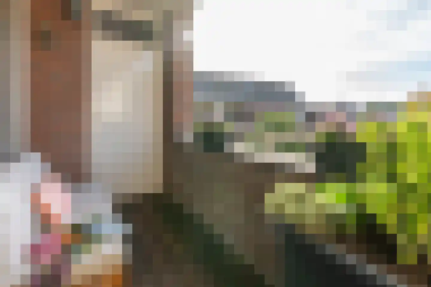 Moerbeigaarde 23 Nieuwegein thumbnail 4