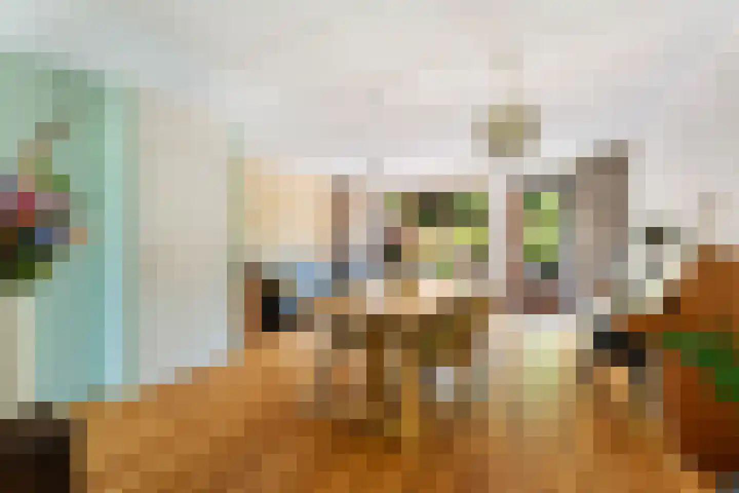 Moerbeigaarde 24 Zoetermeer thumbnail 11