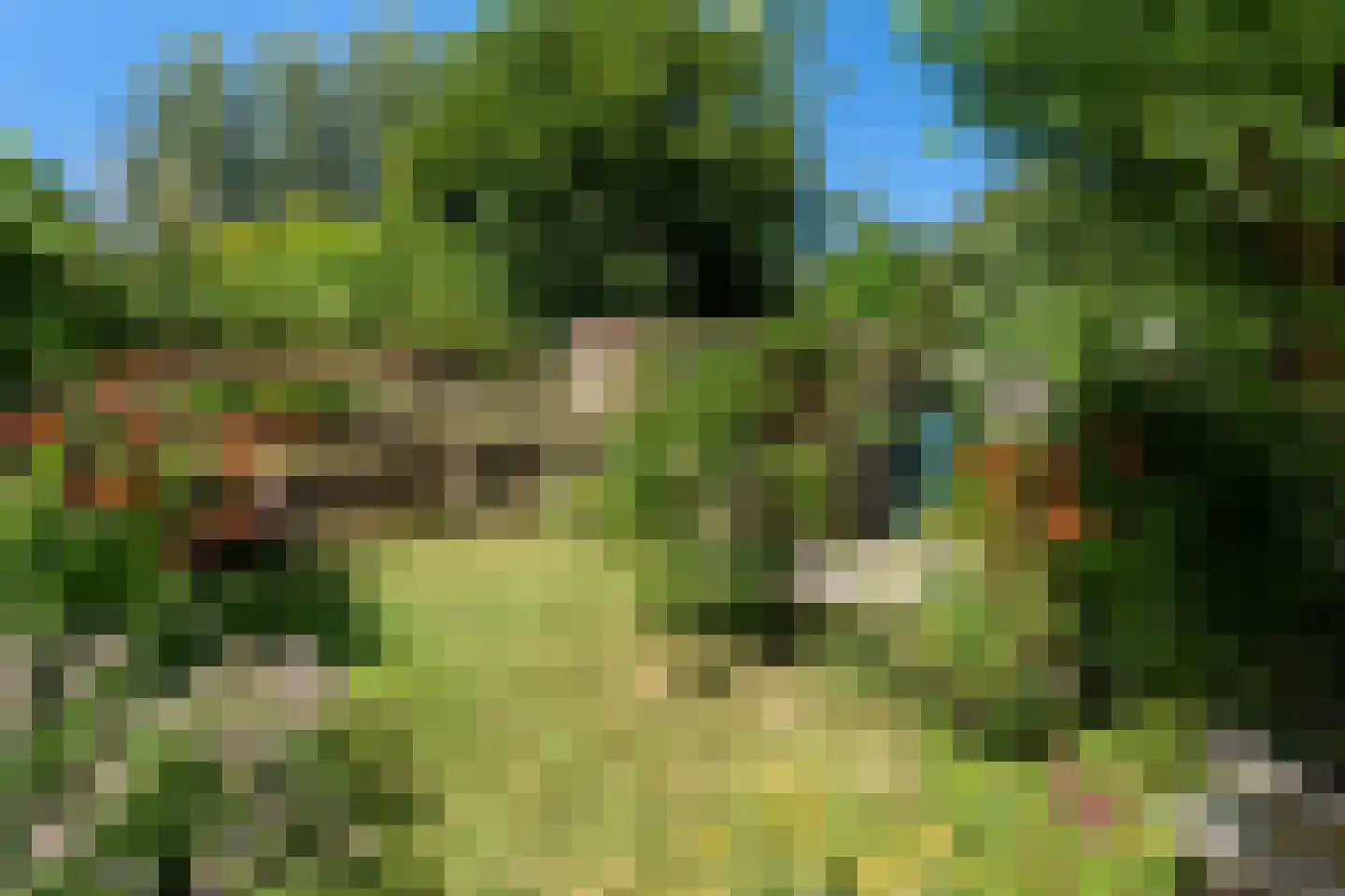 Moerbeigaarde 24 Zoetermeer thumbnail 18