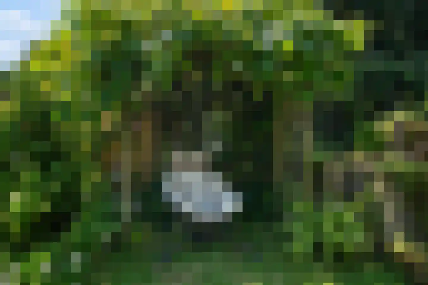 Moerbeigaarde 24 Zoetermeer thumbnail 20