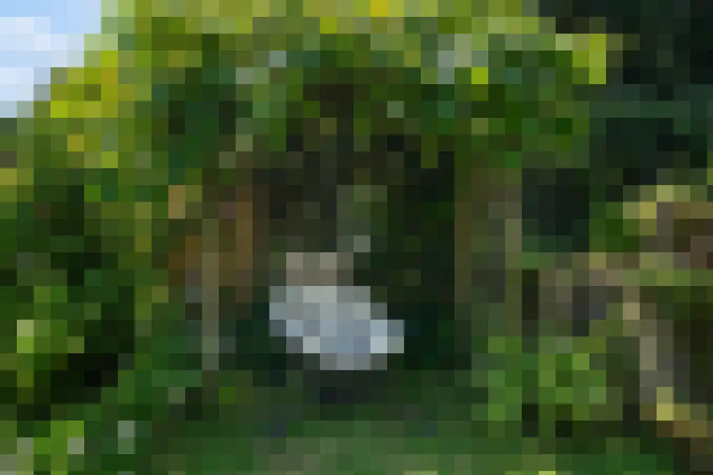 Moerbeigaarde 24 Zoetermeer thumbnail 21