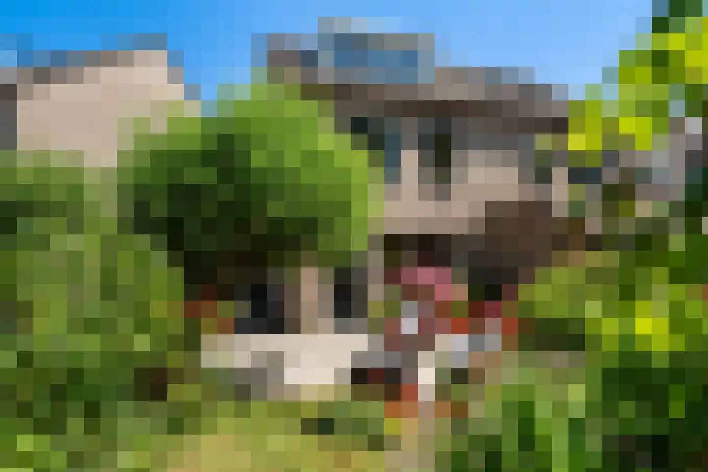 Moerbeigaarde 24 Zoetermeer thumbnail 22
