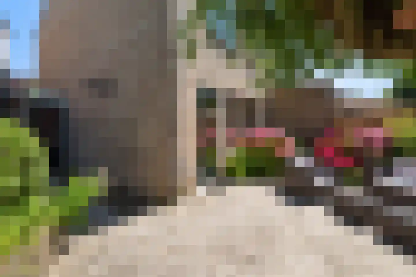 Moerbeigaarde 24 Zoetermeer thumbnail 23