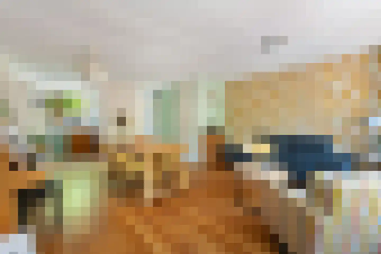 Moerbeigaarde 24 Zoetermeer thumbnail 26