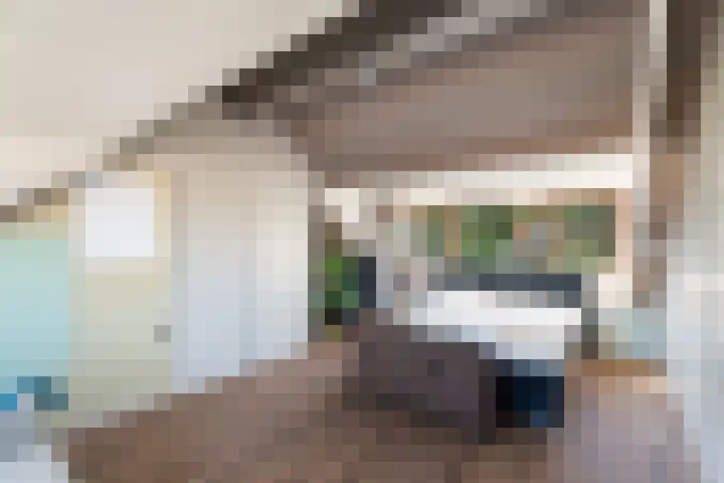 Moerbeigaarde 24 Zoetermeer thumbnail 46