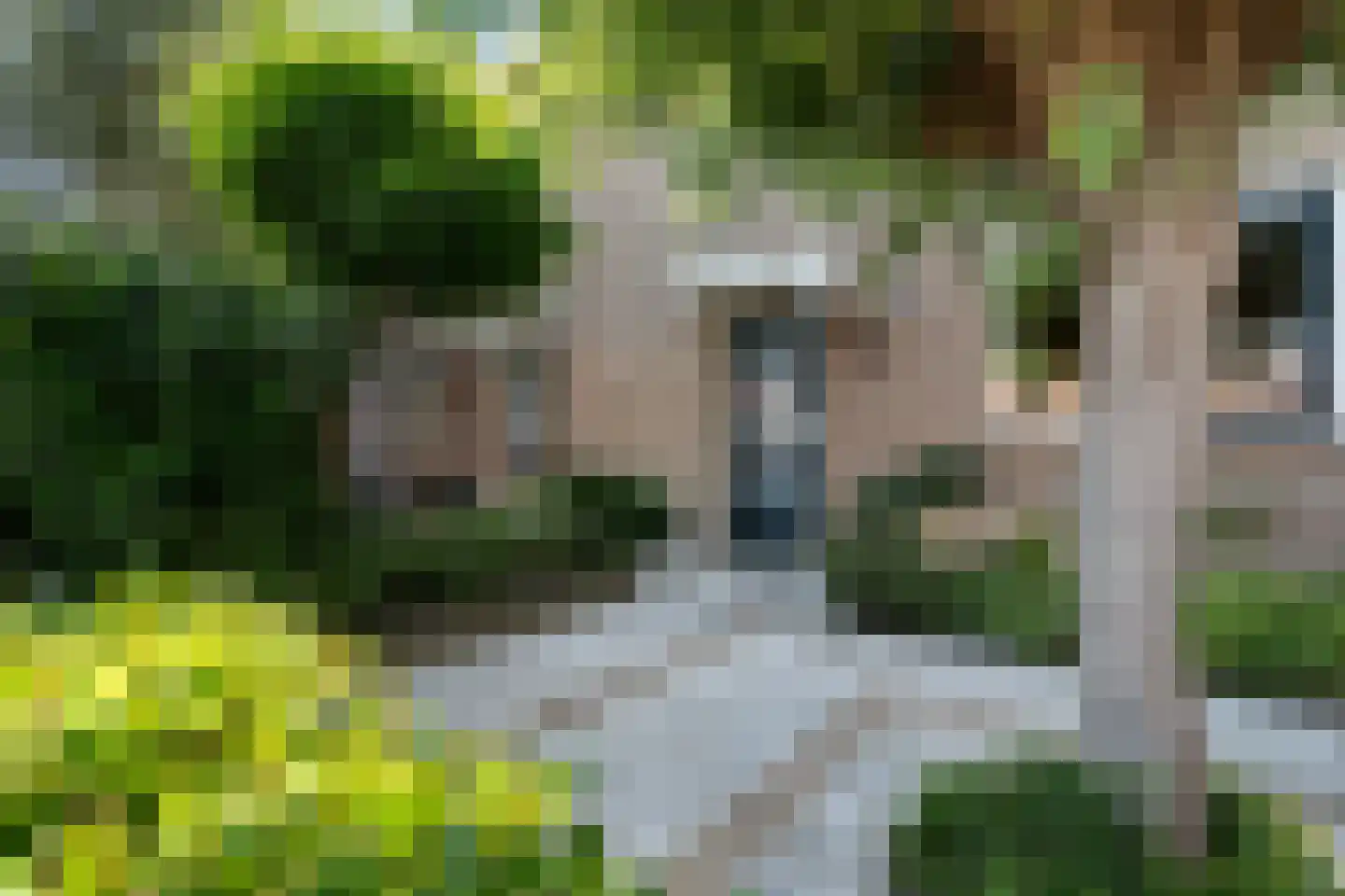Moerbeigaarde 24 Zoetermeer thumbnail 5