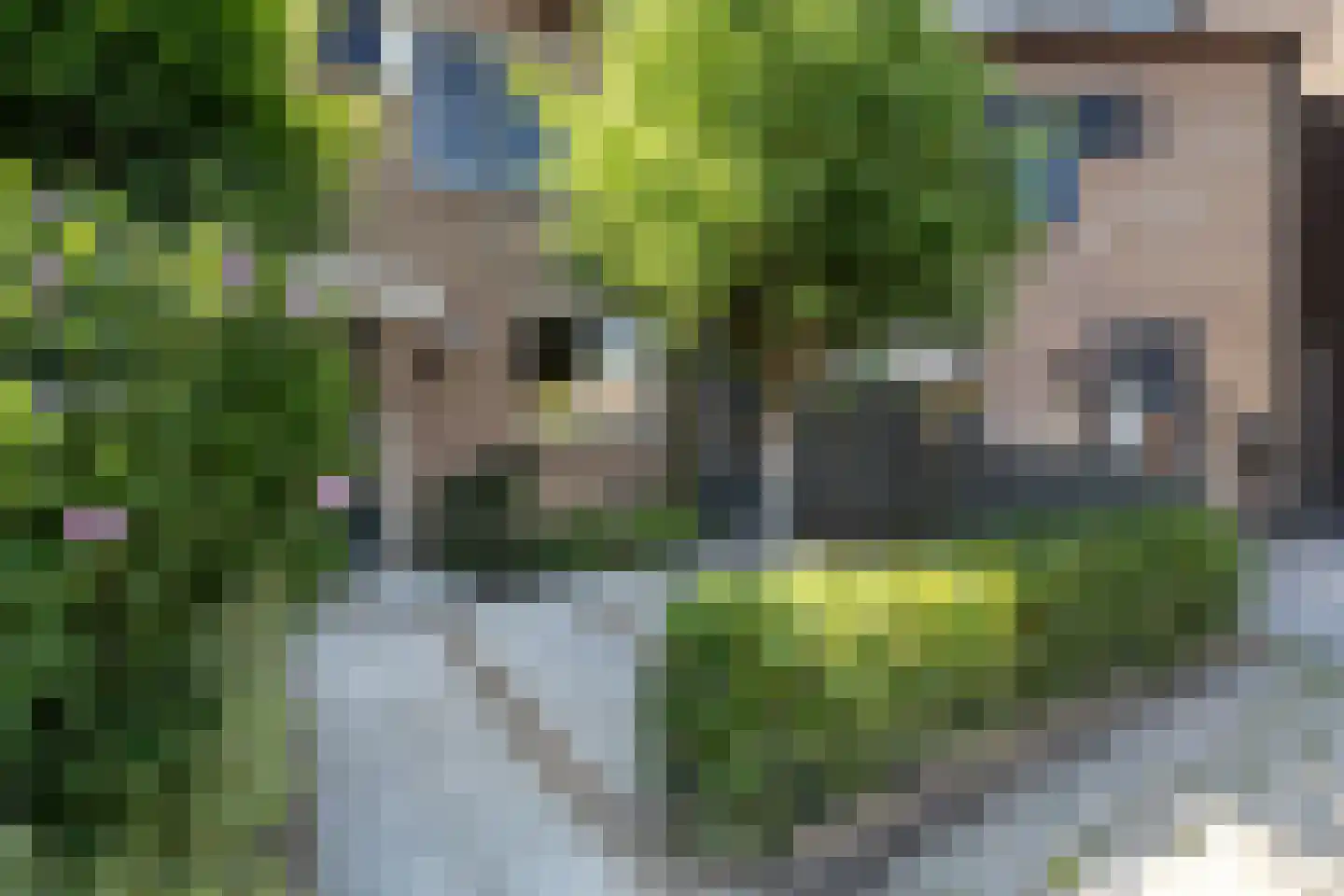 Moerbeigaarde 24 Zoetermeer thumbnail 51