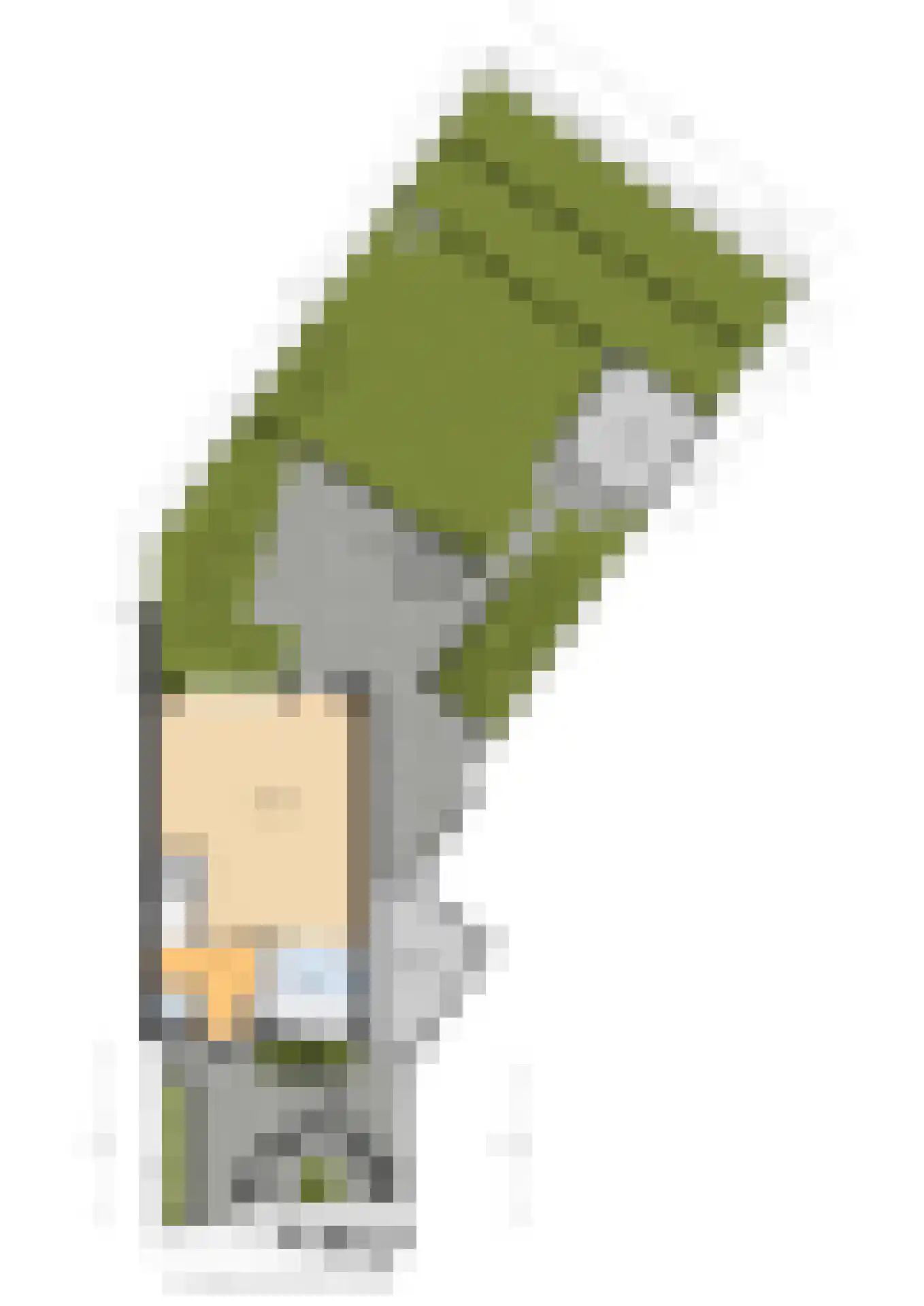 Moerbeigaarde 24 Zoetermeer thumbnail 61