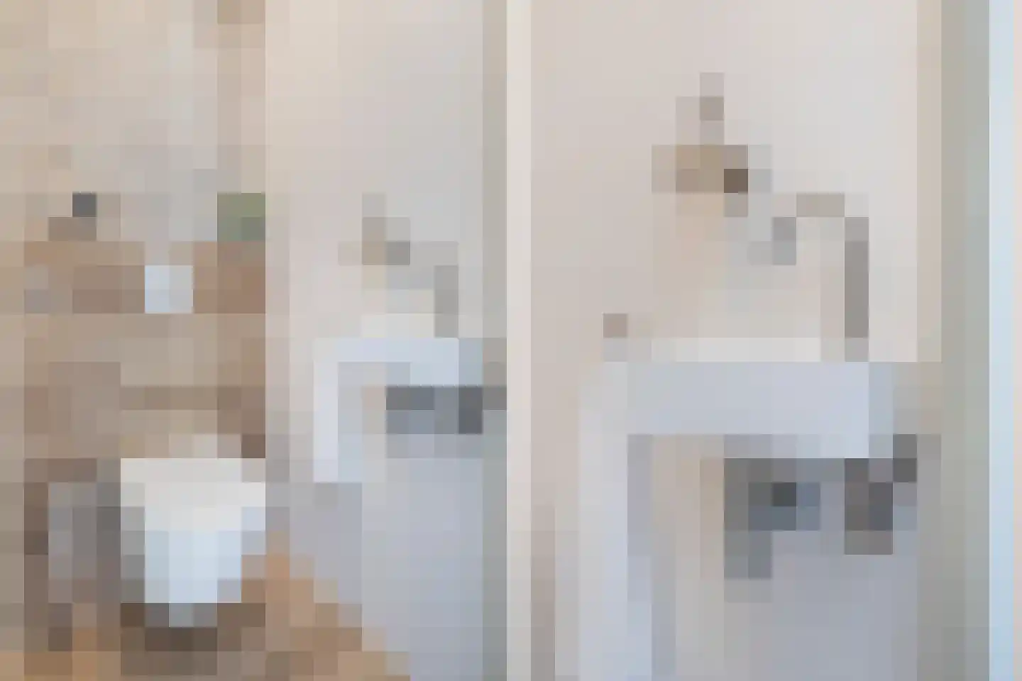 Moerbeigaarde 24 Zoetermeer thumbnail 8