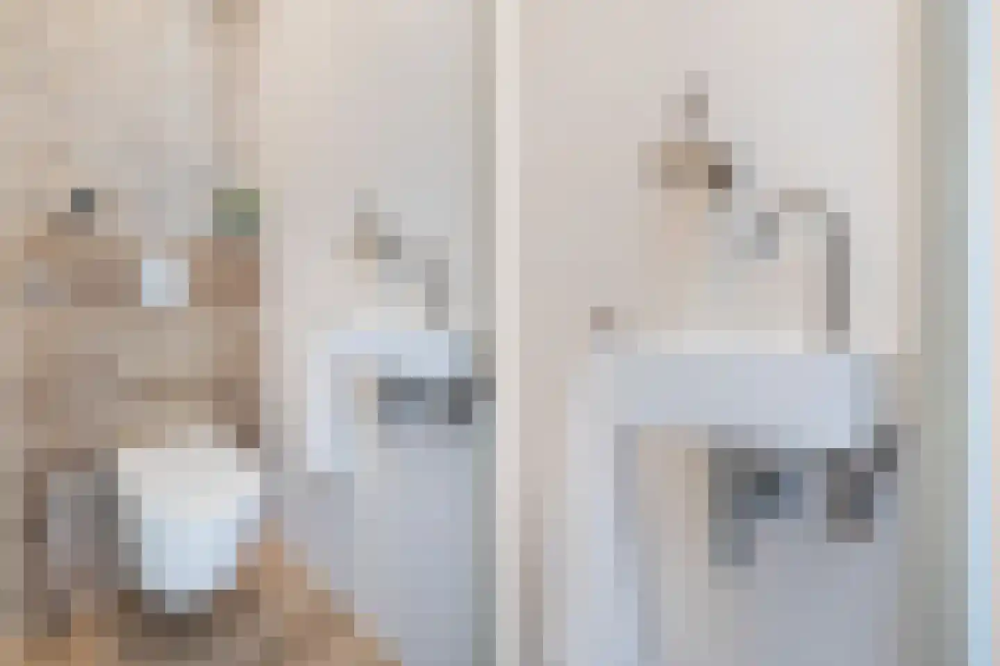 Moerbeigaarde 24 Zoetermeer thumbnail 9