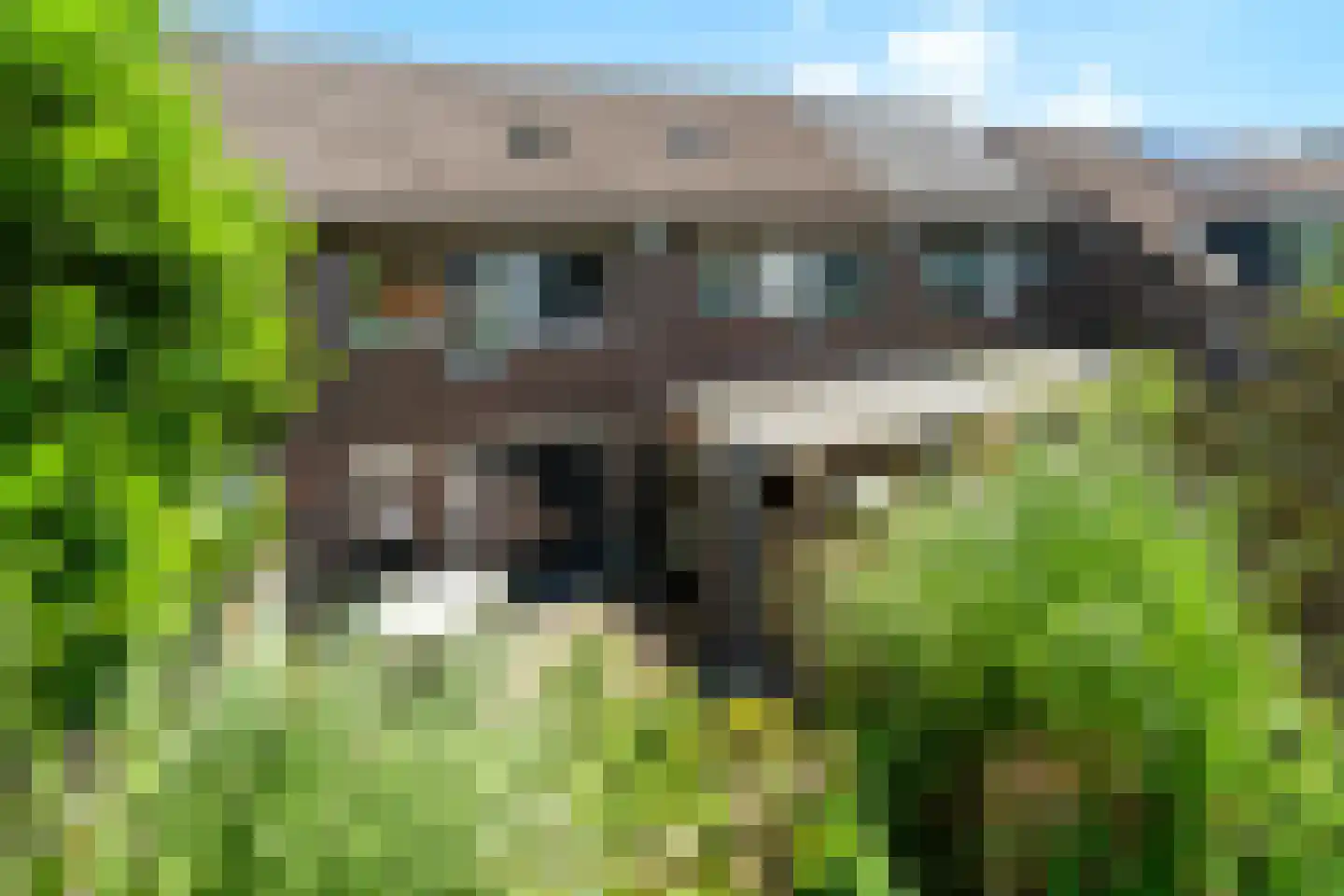 Moerbeigaarde 54 Zoetermeer thumbnail 31