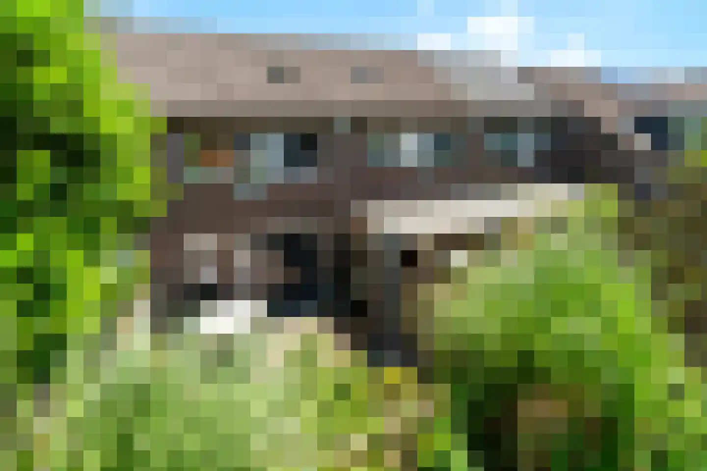Moerbeigaarde 54 Zoetermeer thumbnail 32
