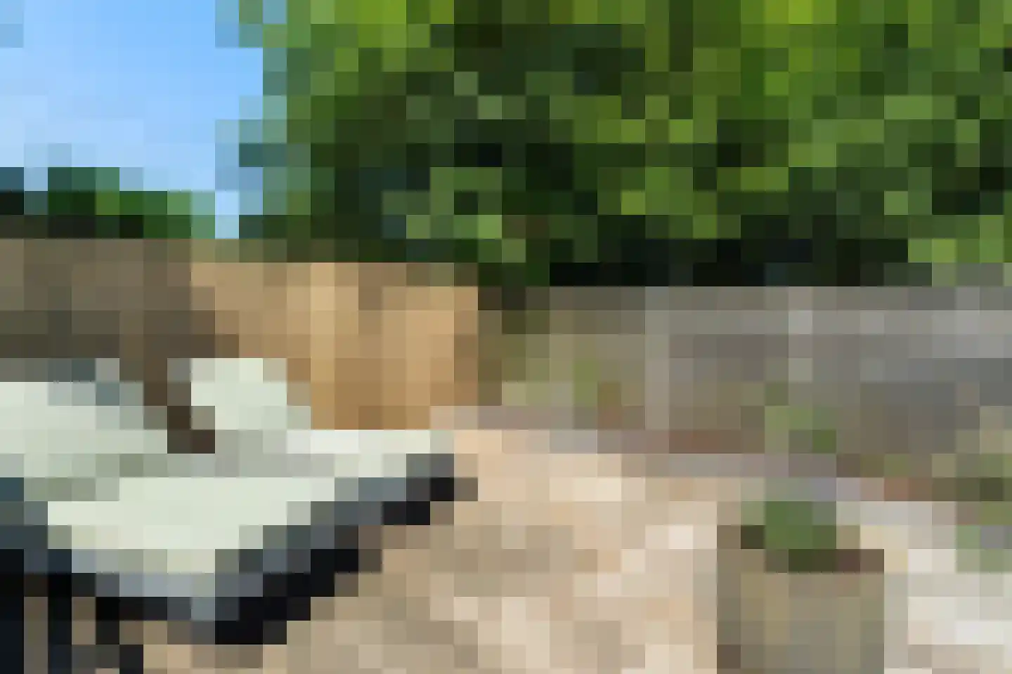 Moerbeigaarde 54 Zoetermeer thumbnail 34