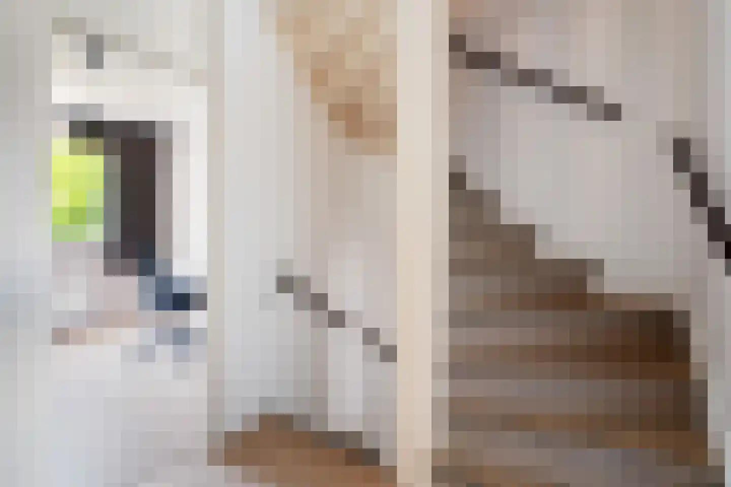 Moerbeigaarde 54 Zoetermeer thumbnail 36