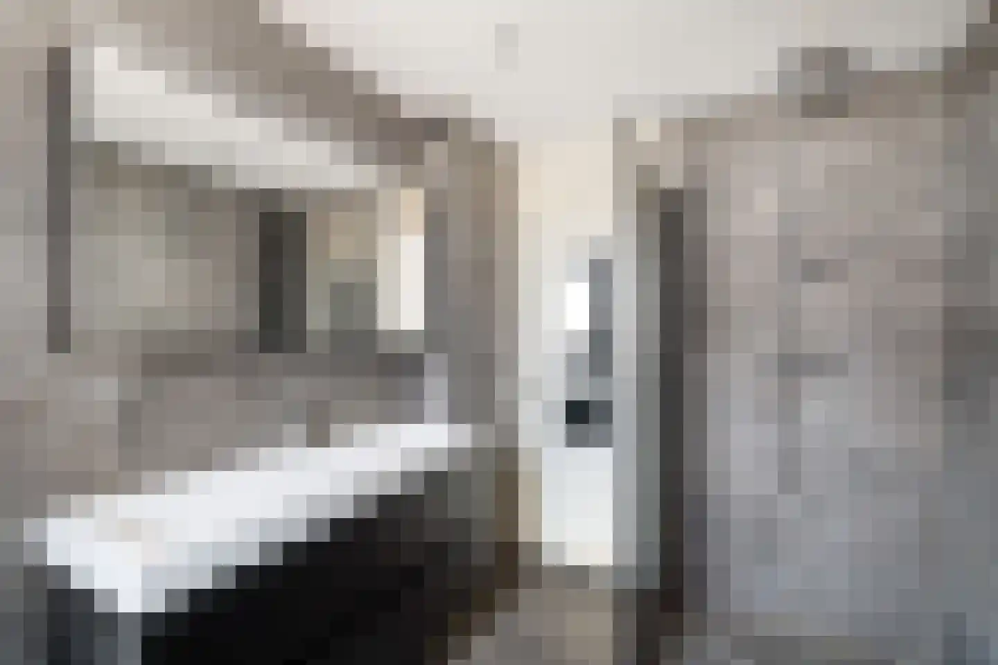 Moerbeigaarde 54 Zoetermeer thumbnail 48