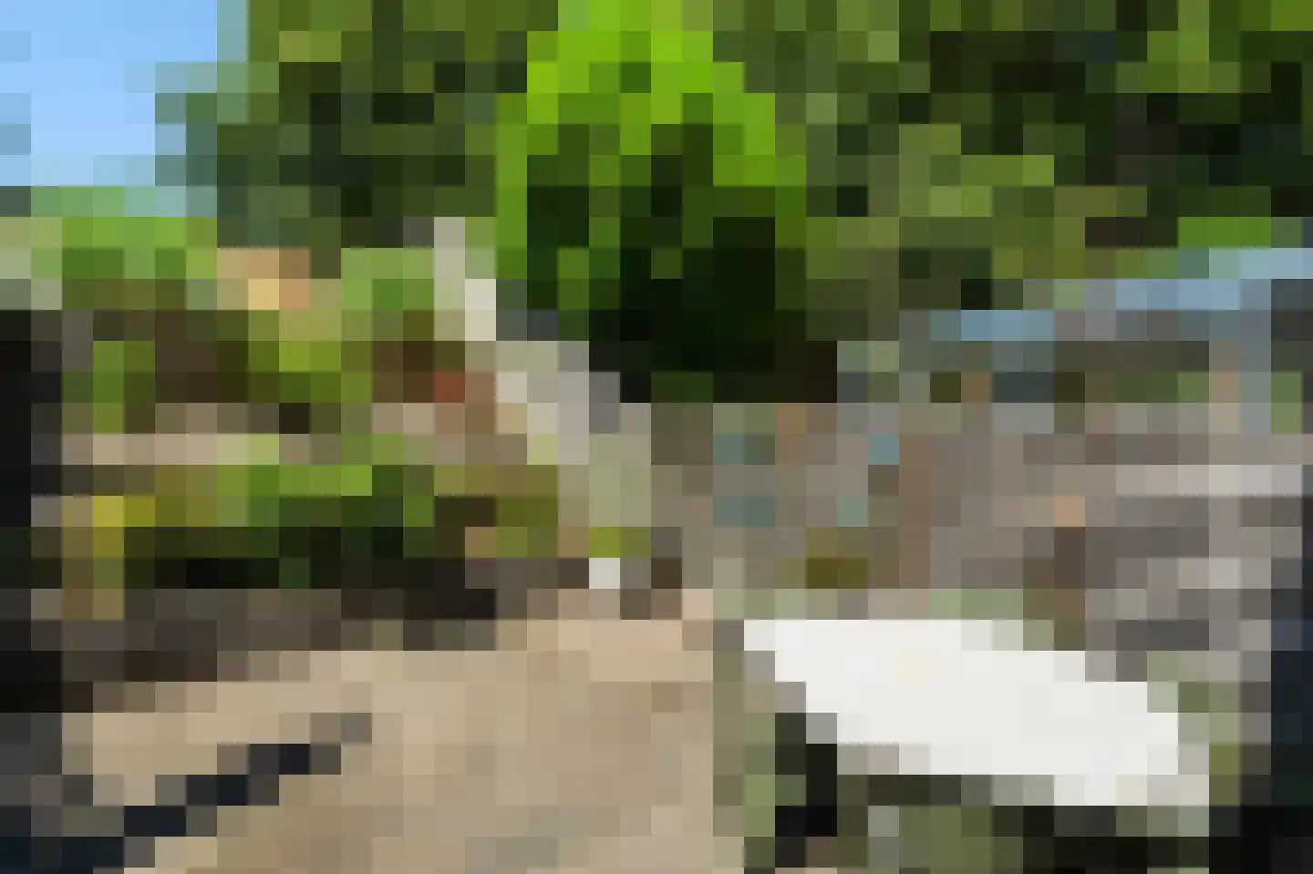 Moerbeigaarde 54 Zoetermeer thumbnail 5