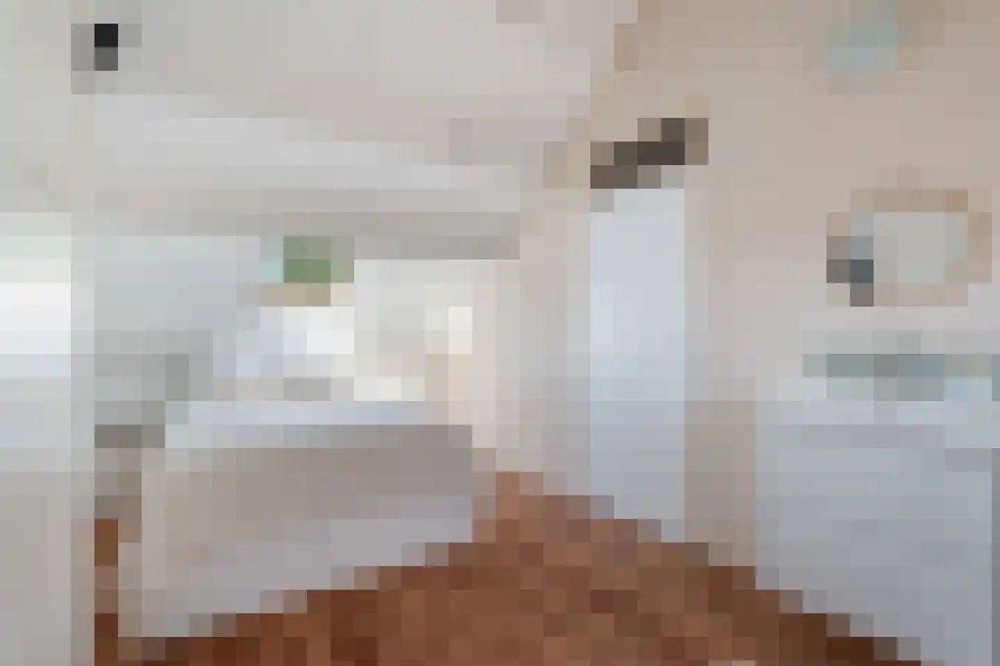 Moerbeigaarde 54 Zoetermeer thumbnail 53