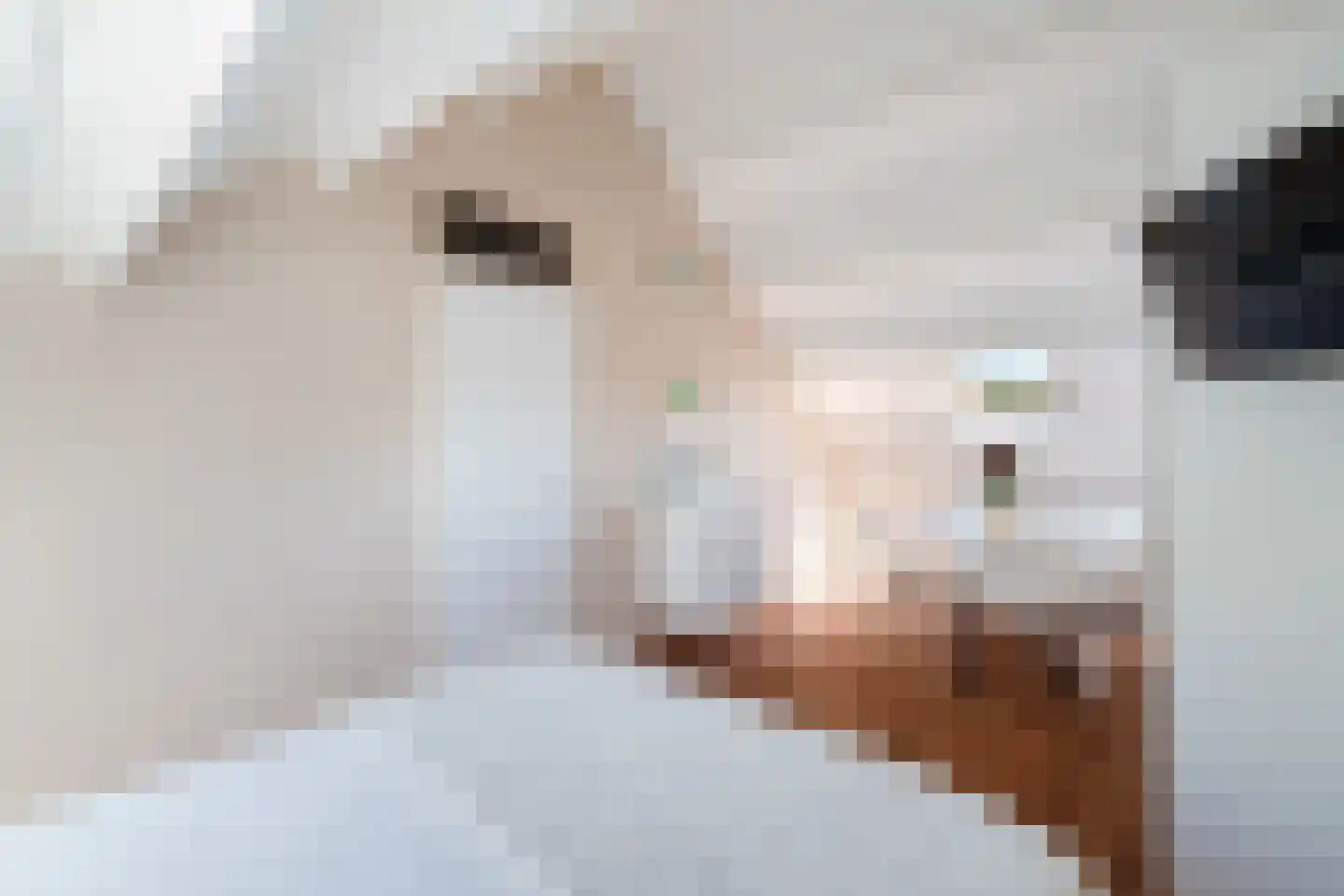 Moerbeigaarde 54 Zoetermeer thumbnail 54