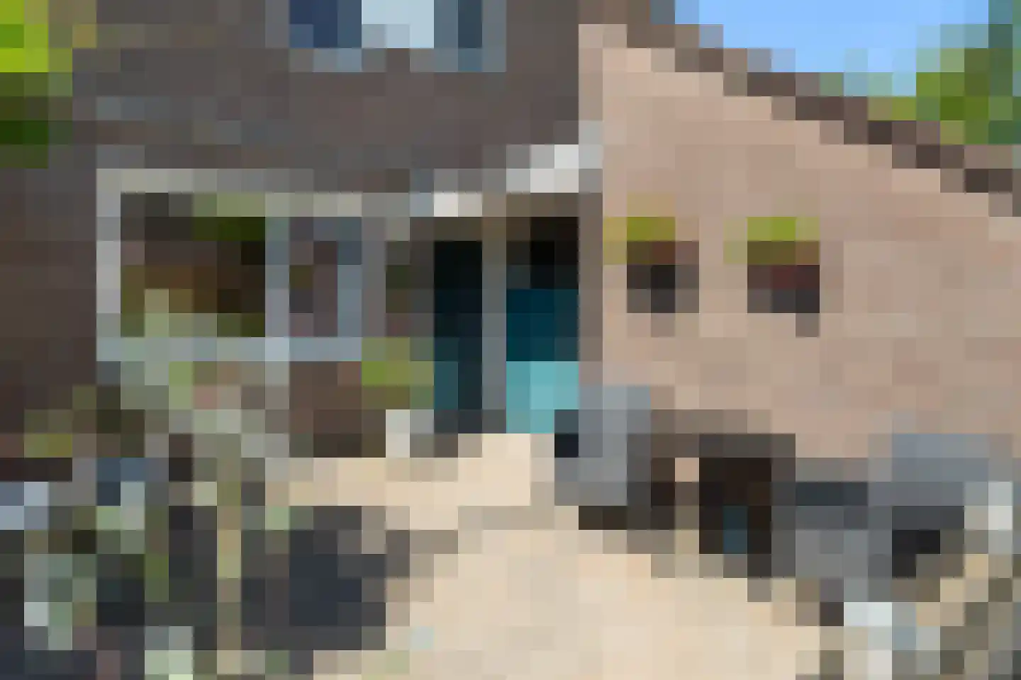 Moerbeigaarde 54 Zoetermeer thumbnail 8