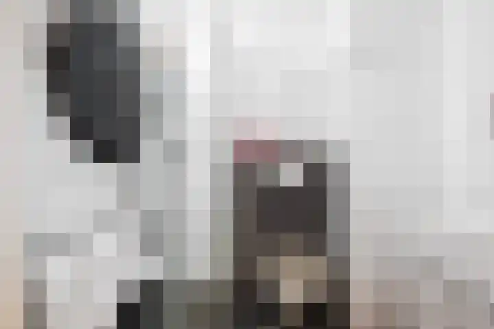 Moerbeigaarde 8 Zoetermeer thumbnail 14