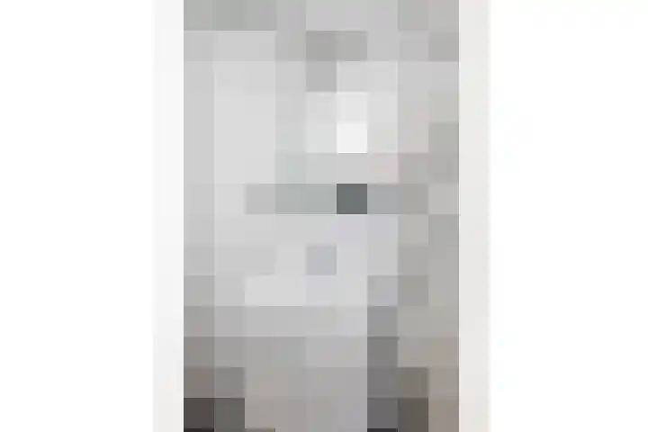 Moerbeigaarde 8 Zoetermeer thumbnail 16