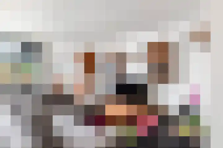 Moerbeigaarde 8 Zoetermeer thumbnail 18