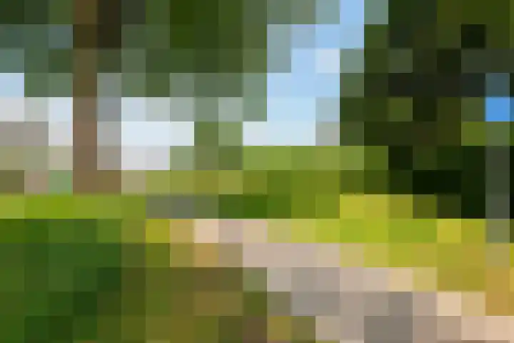 Moerbeigaarde 8 Zoetermeer thumbnail 36