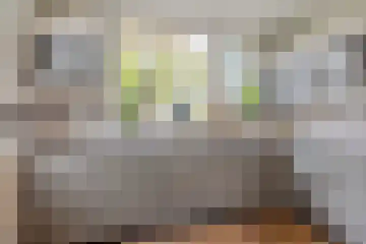 Moerbeihof 18 Papendrecht thumbnail 10
