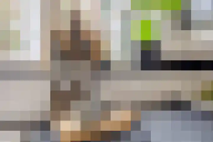 Moerbeihof 18 Papendrecht thumbnail 13