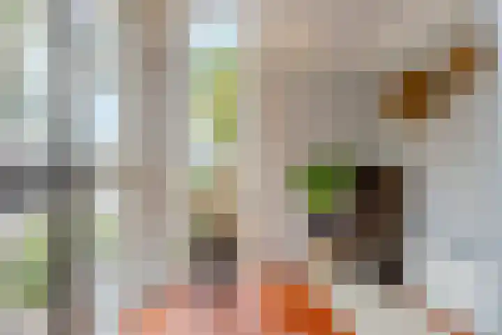 Moerbeihof 18 Papendrecht thumbnail 14