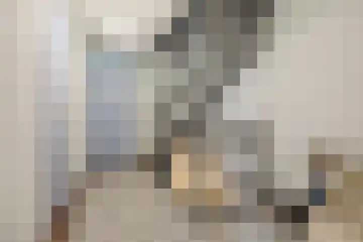 Moerbeihof 18 Papendrecht thumbnail 19