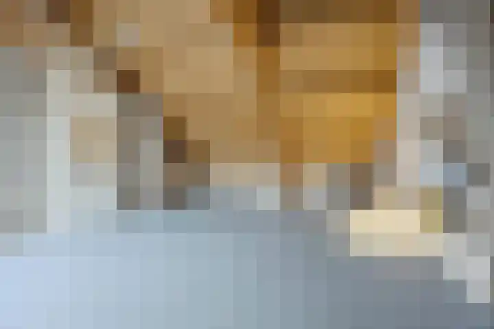 Moerbeihof 18 Papendrecht thumbnail 31