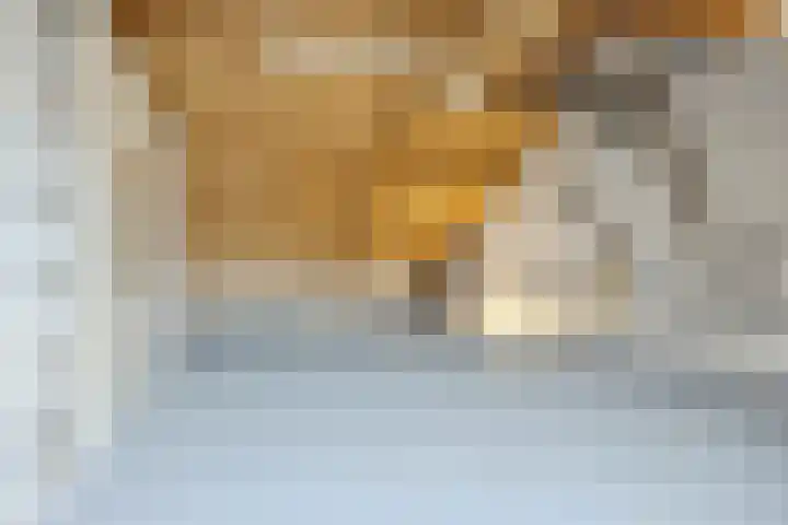 Moerbeihof 18 Papendrecht thumbnail 32