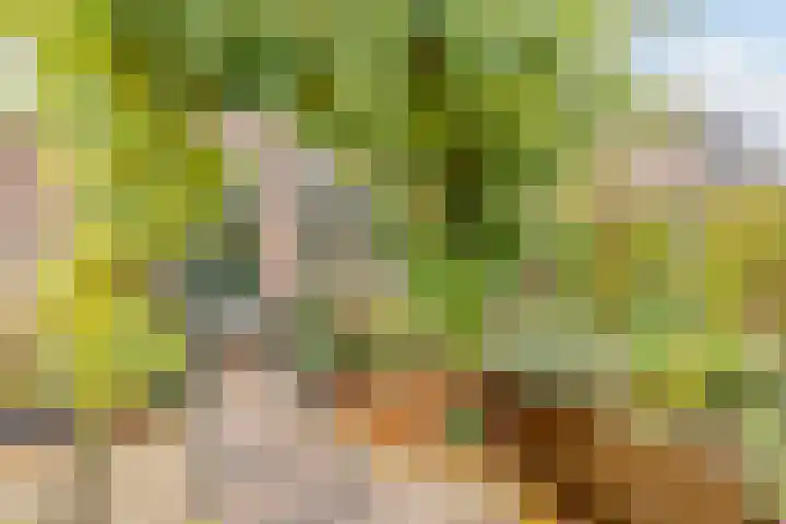 Moerbeihof 18 Papendrecht thumbnail 35