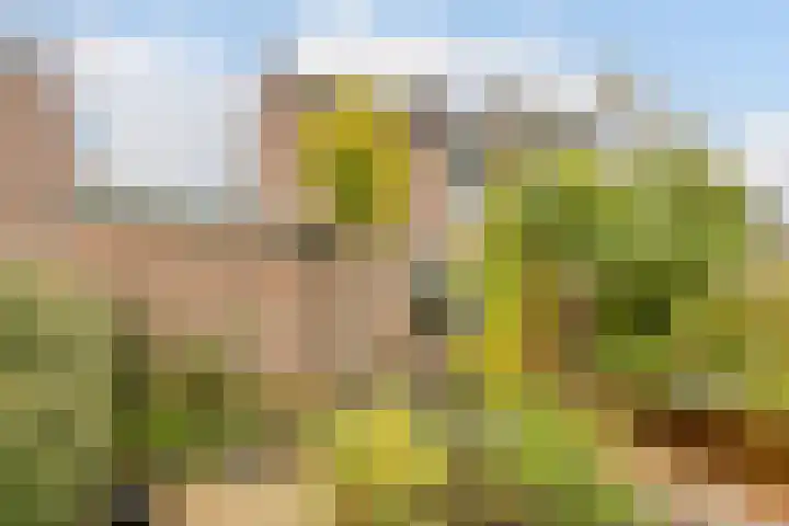 Moerbeihof 18 Papendrecht thumbnail 36