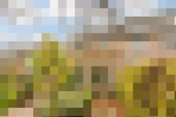 Moerbeihof 18 Papendrecht thumbnail 37
