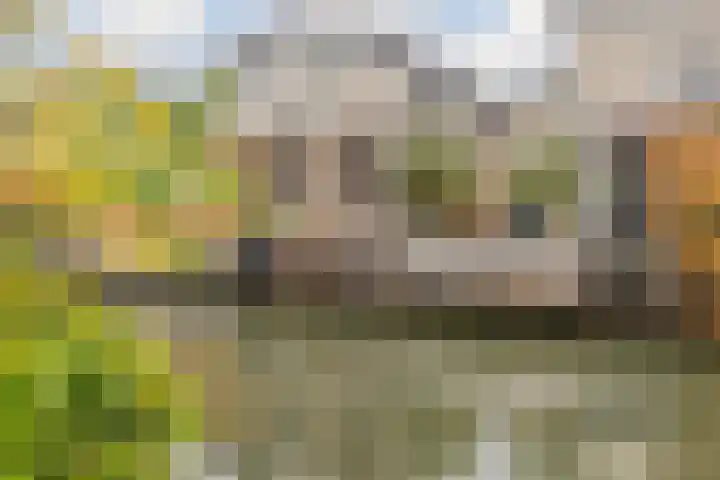Moerbeihof 18 Papendrecht thumbnail 38