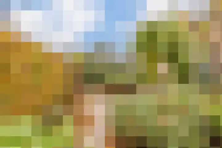 Moerbeihof 18 Papendrecht thumbnail 41