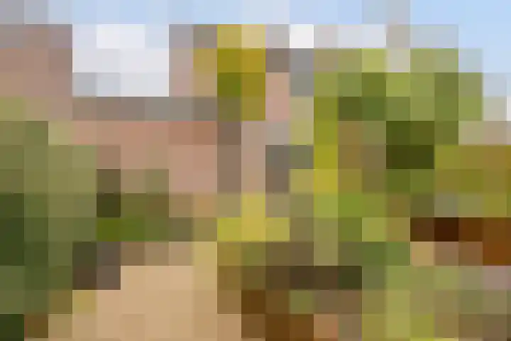 Moerbeihof 18 Papendrecht thumbnail 42