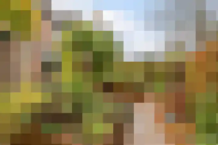 Moerbeihof 18 Papendrecht thumbnail 43
