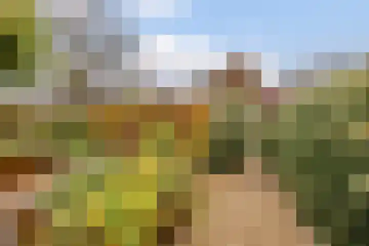 Moerbeihof 18 Papendrecht thumbnail 44