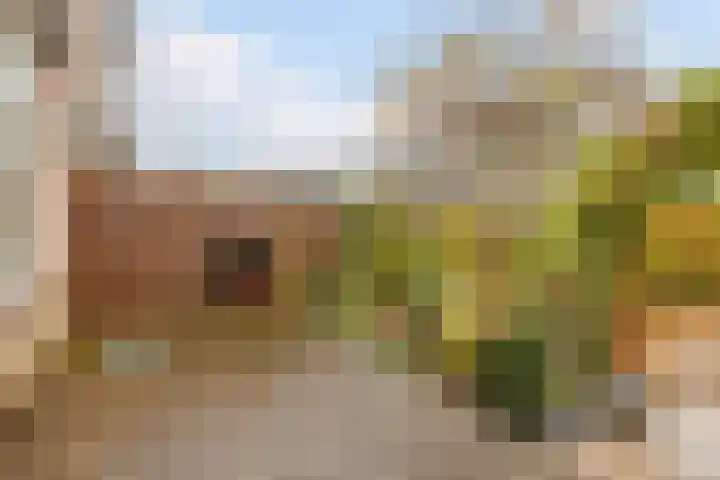Moerbeihof 18 Papendrecht thumbnail 47