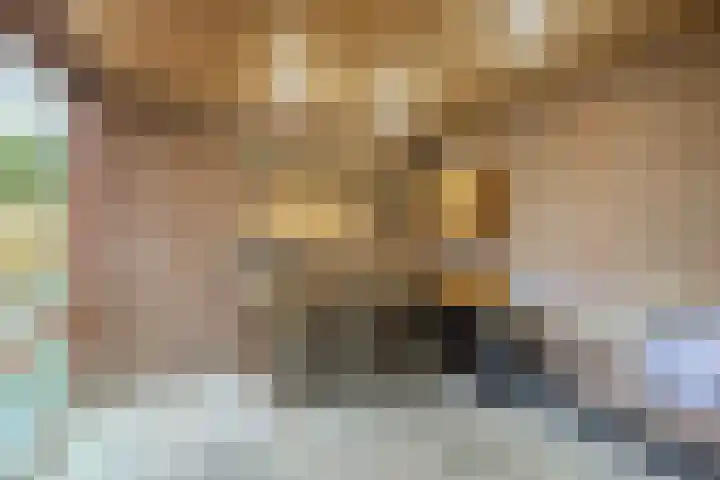 Moerbeihof 18 Papendrecht thumbnail 49