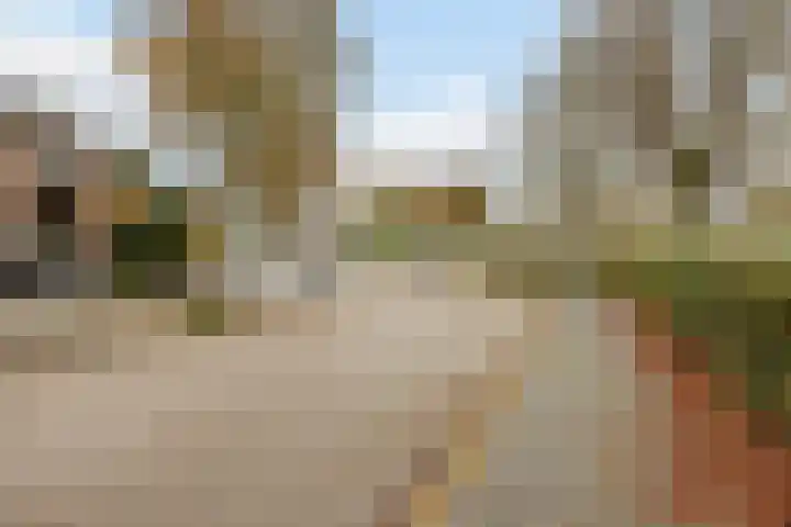 Moerbeihof 18 Papendrecht thumbnail 53