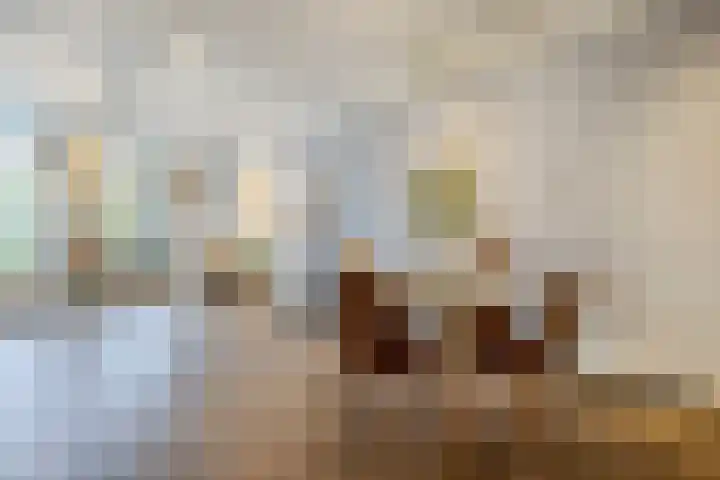 Moerbeihof 18 Papendrecht thumbnail 6