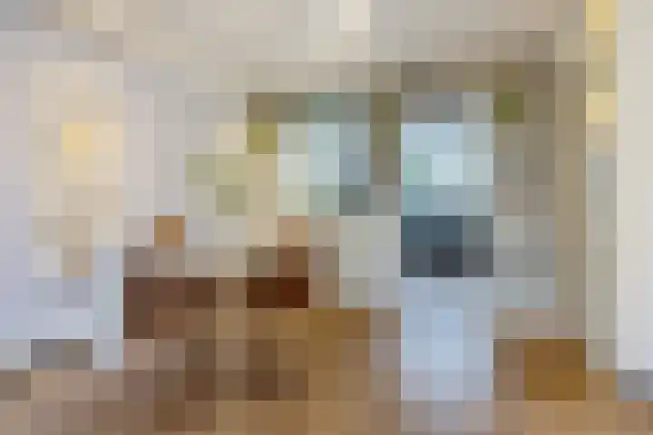 Moerbeihof 18 Papendrecht thumbnail 7
